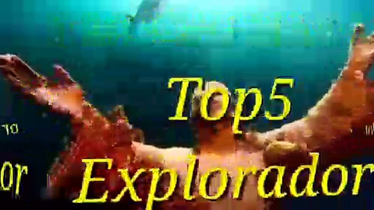 ÁGUILA   Águilas Cazando   Las Águilas Más Grandes Del Mundo