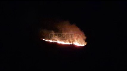 Digjen kullotat në Radhimë, zjarrfikëset në vendngjarje për të shuar flakët