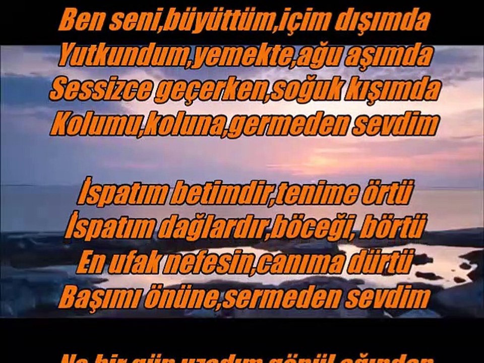 Seni Sevdim