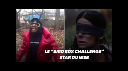 Le "Bird Box challenge", nouveau challenge inspiré du film Netflix