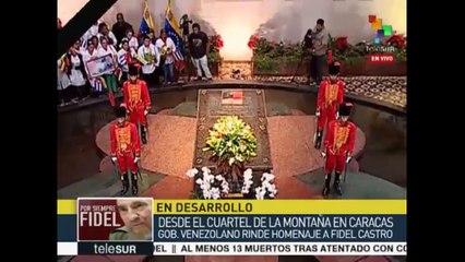 Por Siempre Fidel-Telesur 8, Gov Venezuelano homenagea Fidel 2