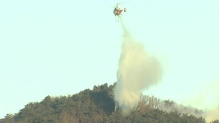 양양산불 이틀째 헬기 총동원...동해안 산불 각별 주의 / YTN