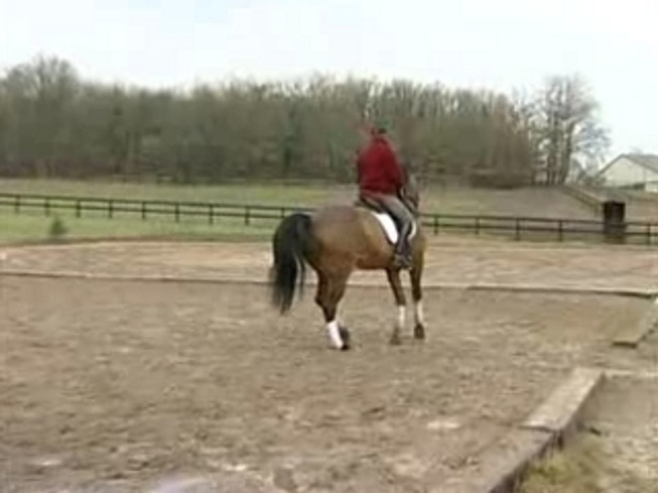 PLR - Patrick LE ROLLAND - Leçon Dressage Cheval 4/6