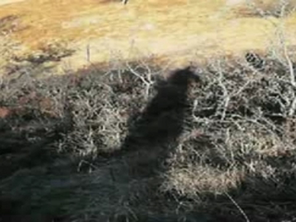 Arrivé au col de l'Arraing