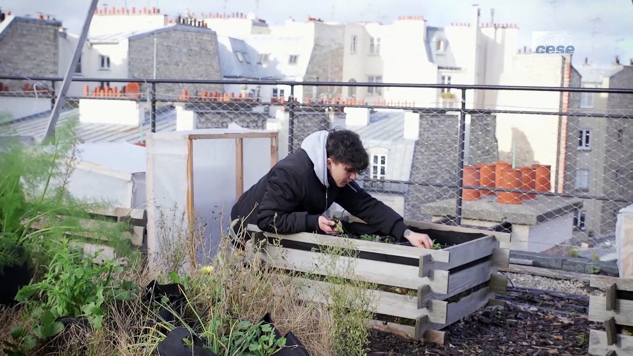 Visite sur les toits de l'Agroparitech - l'agriculture urbaine - cese