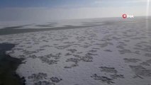 Eksi 8 Dereceyi Gören Seyfe Gölü Buz Tuttu
