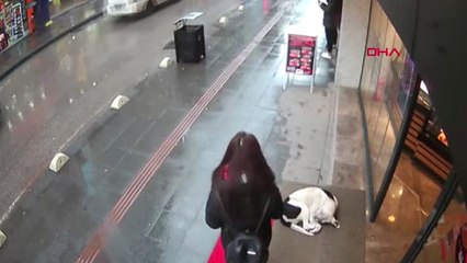 Boynundan Çıkardığı Şalı Sokak Köpeğinin Üzerine Örttü