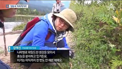 밀림에서 자라는 ‘미래 먹거리’…현장 모습은?