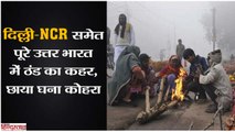 Fog and cold waves disrupt normal life in North India, Fight effected in Delhi