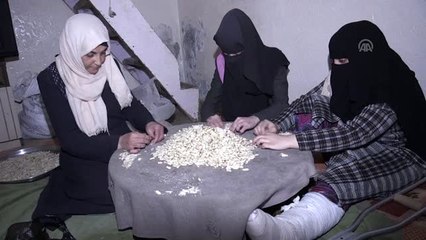 Gazzeli Ailenin Geçim Kaynağı "Fıstık Ayıklamak" (2)