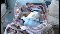 Ora News - Alarmante në Vlorë: Gratë bëjnë 3-4 aborte vetëm sepse fëmija ishte vajzë