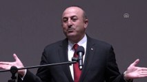 Çavuşoğlu : 'Türk dış politikamızın temel çerçevesi uygulamada girişimci ve insani dış politikadır' - ANKARA