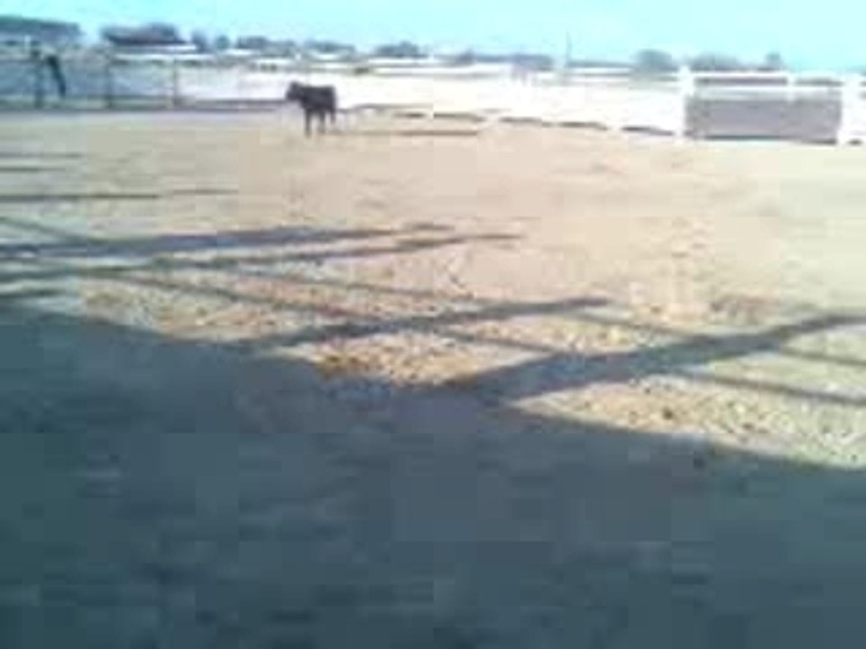 Vid_o002