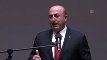 Çavuşoğlu : 'Dünyanın her yerinde proaktif olmalıyız ve çok yönlü bir dış politikamızın olması gerekiyor' - ANKARA