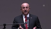 Çavuşoğlu: '(ABD'nin YPG'ye desteği) Bir ülkenin sınır güvenliği değil sadece bekası ile ilgili bir konu' - ANKARA