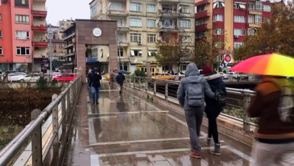 Asi Nehri'ndeki su sümbülleri temizlendi - HATAY