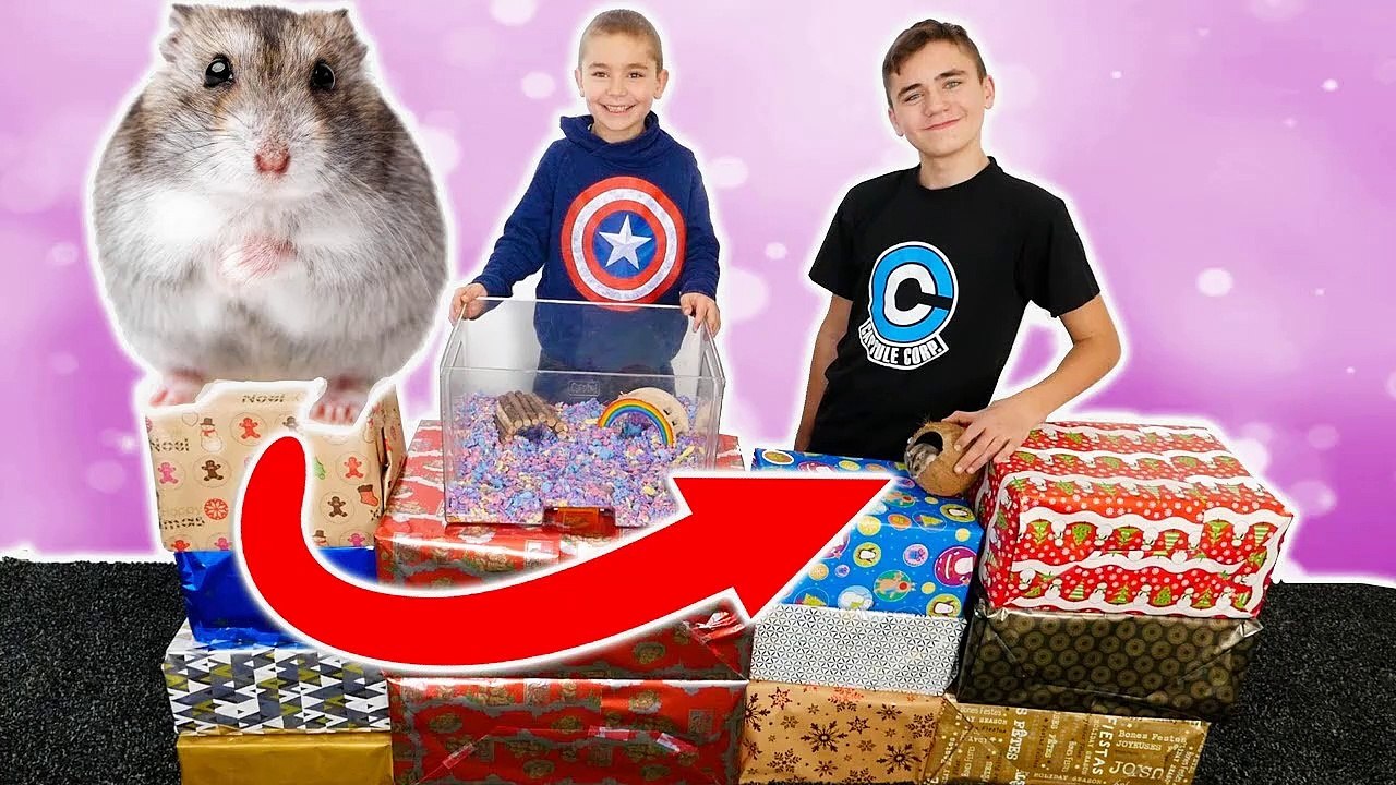 NUTS OUVRE LES INCROYABLES CADEAUX DE NOS ABONNES