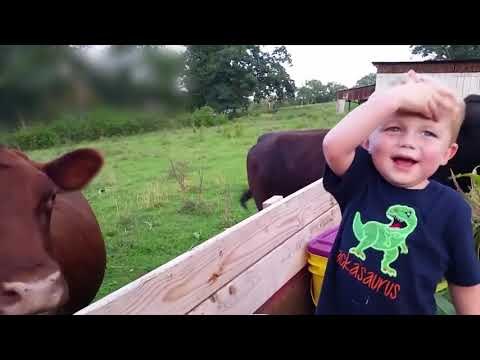 SITUATA KOMIKE DHE RREZIME TE FEMIJEVE NE SHUME SITUATA TE NDRYSHME GJATE VITIT QE LAME PAS LAJM