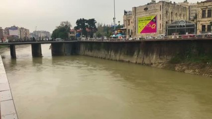 Asi Nehri'ndeki Su Sümbülleri Temizlendi