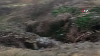 Çevre Katliamına Suçüstü