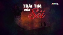 Trái Tim Của Sói Tập 16 - Phim Việt Nam