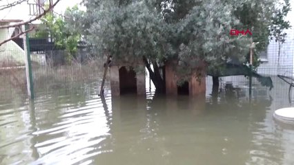 Antalya Serik'te Sağanak Sonrası Tarım Alanları ve Kamp Sahalarını Su Bastı