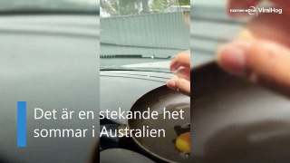 Stekande hett i Australien - kan tillaga ägg i bilen