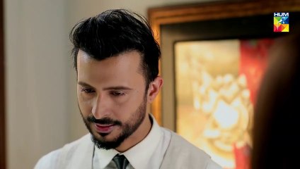 Tu Ishq Hai Epi 11 HUM TV Drama 2 January 2019