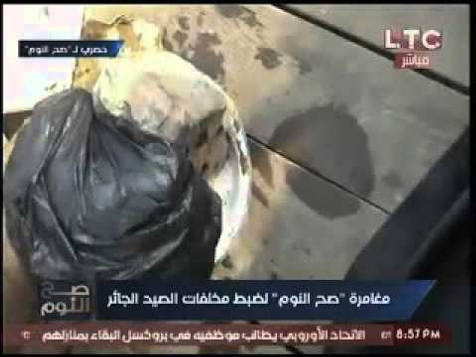 فيديو حصري- كاميرا صح النوم تخترق اوكار الصيد ا...