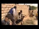 فيديو تقرير قناة التحرير عن الثورة الليبية منذ اندلاعها وحتى الان متضمنة توعد القذافى