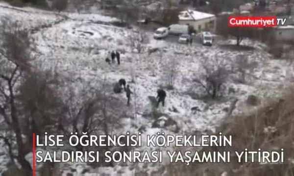 Köpeklerin saldırdığı lise öğrencisi hayatını kaybetti