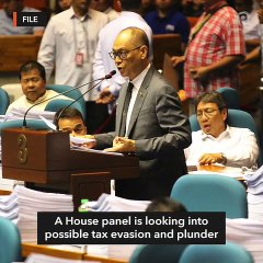 House panel explores plunder, tax evasion charges vs Diokno's in-laws