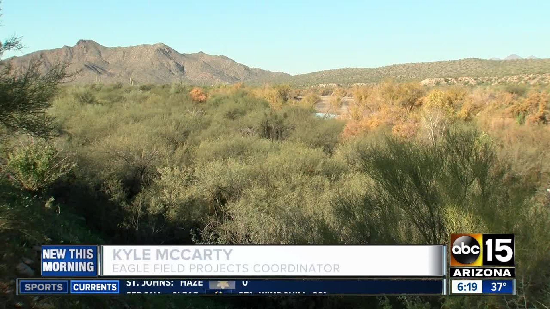 Bald eagle population on the rise in Arizona