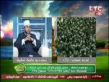 الشيخ/عيد محمد اسماعيل يوضح الفرق بين الاضحية بين الحجاج و غير الحجاج