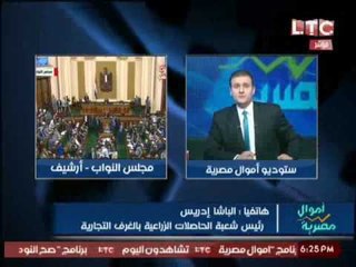 نقاش بين رئيس شعبة الحلاصلات الزراعية و وكيل اللجنه الاقتصادية بالنواب حول تحول الدعم إلى نقدى