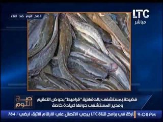 الغيطى يكشف فضيحة مستشفى " تربى قراميط بحوض التعقيم " : " اه يا قراميط يا ولاد القراميط "