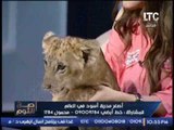 بالفيديو ... اندهاش الغيطى بسبب مداعبة انوسه كوته لــ الاسد جولد