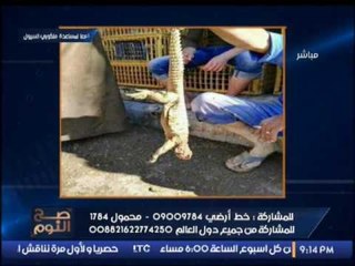 بالصور.. العثور علي حيوانات غريبه عقب جرف مياة السيول