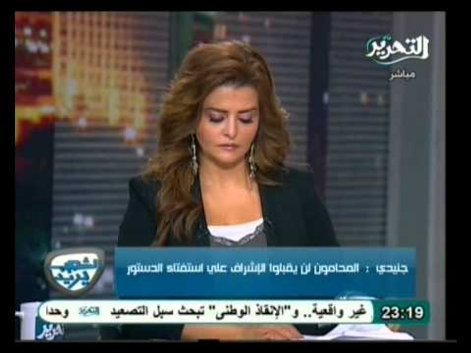 الشعب يريد لقاء حزب الوفد بالسفيرة الامركية