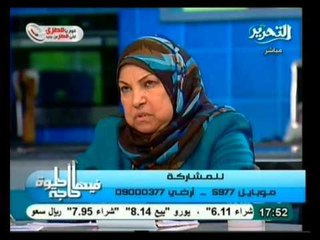 فيها حاجة حلوة: دعوة لبناء مصر الحبيبة