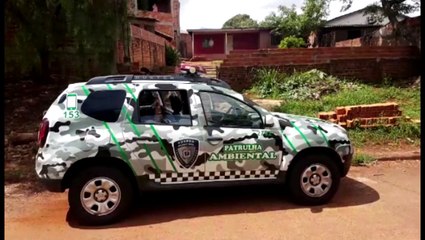 Cão é encontrado morto e GM e Secretaria do Meio Ambiente são mobilizados