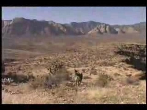 [MTB] Bone Crusher Trail Las Vegas Nevada [Goodspeed]