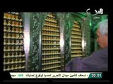 طوق نجاة: ذكرى المولد النبوي في منطقة الحسين