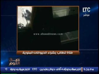 بالفيديو.. قتاه تطلب شراء "حيوانات منويه" للانجاب بدون ذكر (+18)