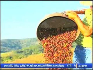 تقرير هام ومفيد جدا عن الفوائد المتنوعة للقهوة