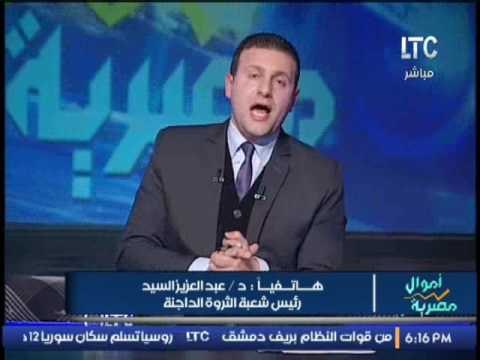 رئيس شعبة الثورة الداجنة يكشف اسباب إرتفاع اسعار الدواجن بالرغم من ثبات سعر الدولار