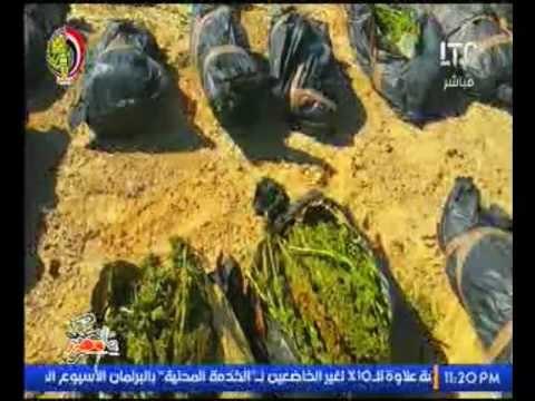 برنامج بنحبك يا مصر |مع د. حاتم نعمان فقرة الاخبار واهم اوضاع مصر 21-2-2017