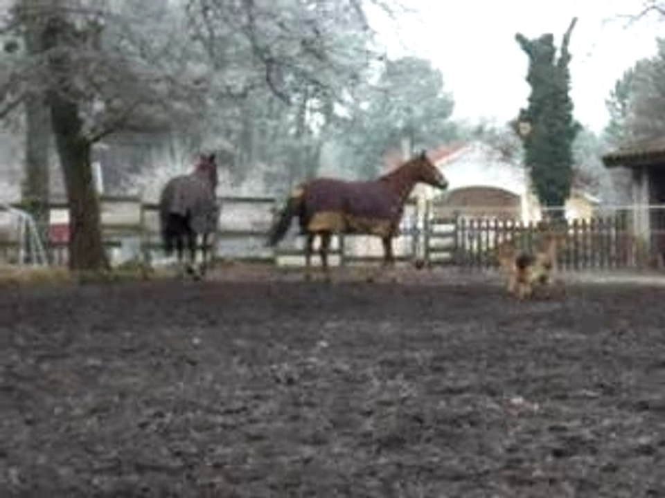 dan-boy et tiffanie 2