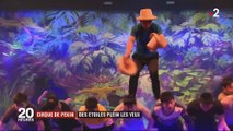 Cirque Phénix : des étoiles plein les yeux