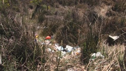 Urbanización amenaza los humedales de montaña en Chiapas